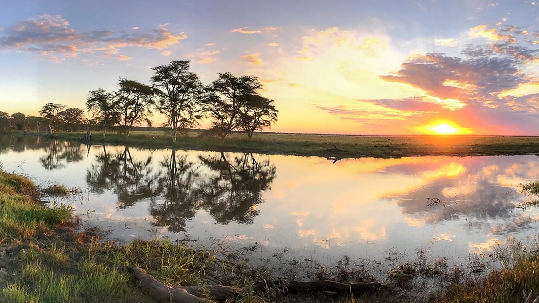 Trees and a sunset reflected in still water at Gorongosa
