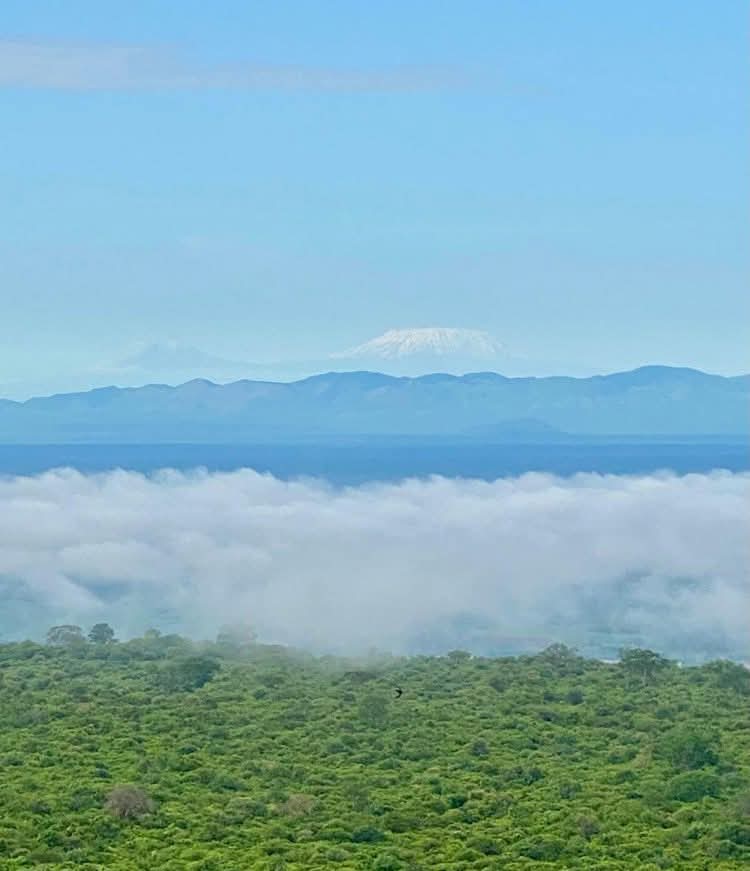Mount Kilimanjaro seen in the distance from Tsavo West, Kenya